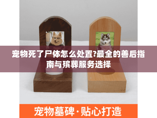 宠物死了尸体怎么处置?最全的善后指南与殡葬服务选择