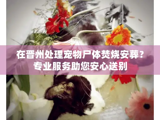 在晋州处理宠物尸体焚烧安葬？专业服务助您安心送别