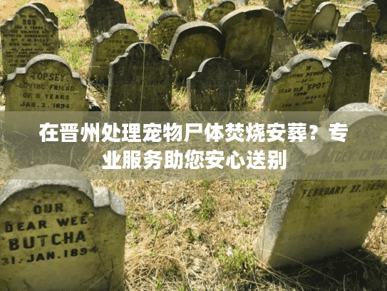 在晋州处理宠物尸体焚烧安葬？专业服务助您安心送别