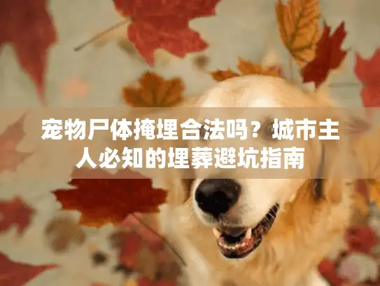宠物尸体掩埋合法吗？城市主人必知的埋葬避坑指南