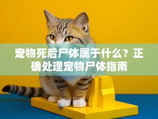 宠物死后尸体属于什么？正确处理宠物尸体指南