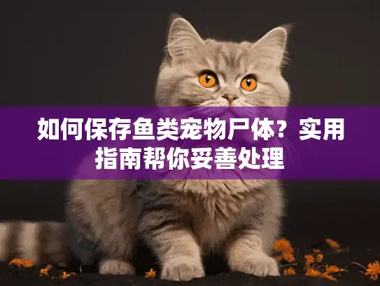 如何保存鱼类宠物尸体？实用指南帮你妥善处理