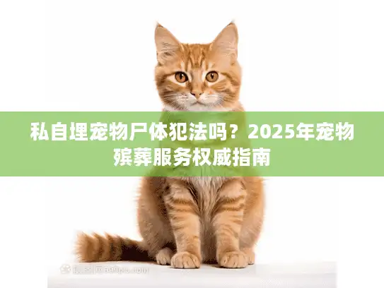 私自埋宠物尸体犯法吗？2025年宠物殡葬服务权威指南