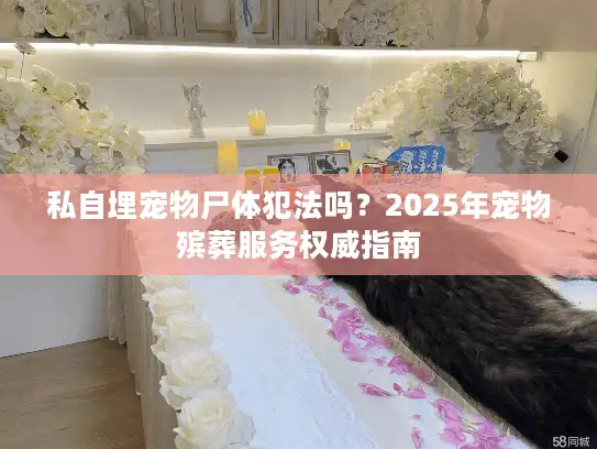 私自埋宠物尸体犯法吗？2025年宠物殡葬服务权威指南