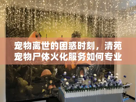 宠物离世的困惑时刻，清苑宠物尸体火化服务如何专业处理？