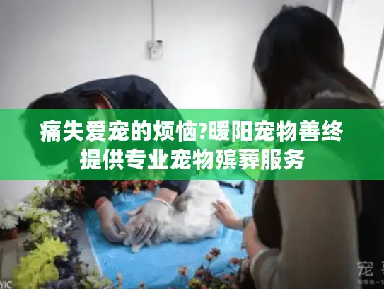 痛失爱宠的烦恼?暖阳宠物善终提供专业宠物殡葬服务