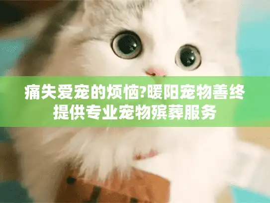 痛失爱宠的烦恼?暖阳宠物善终提供专业宠物殡葬服务