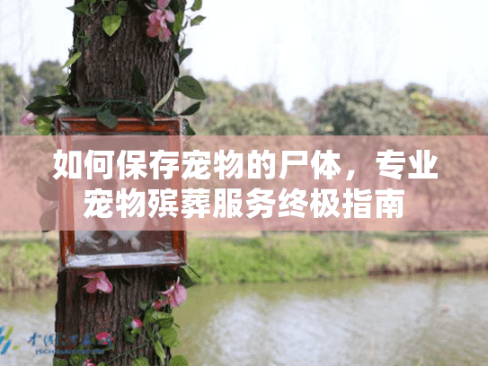 如何保存宠物的尸体，专业宠物殡葬服务终极指南