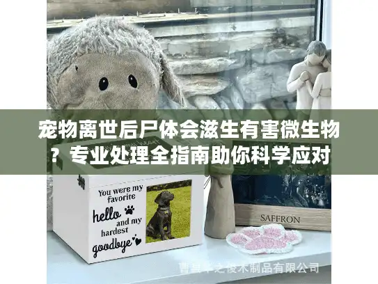 宠物离世后尸体会滋生有害微生物？专业处理全指南助你科学应对