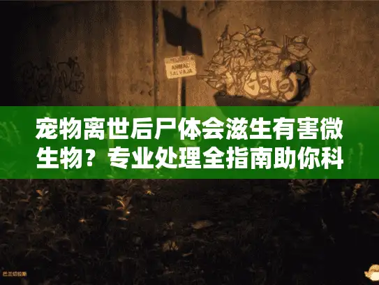 宠物离世后尸体会滋生有害微生物？专业处理全指南助你科学应对