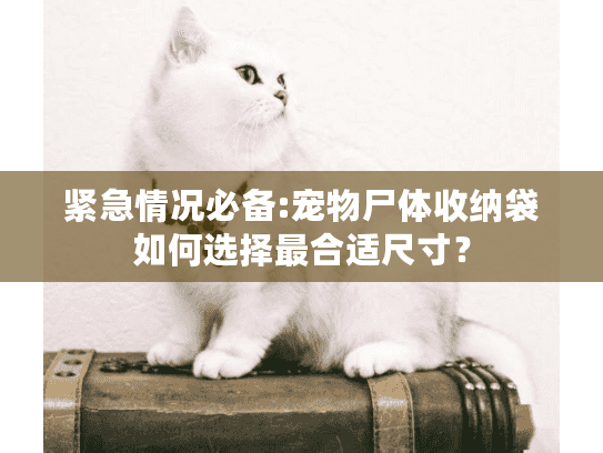 紧急情况必备:宠物尸体收纳袋如何选择最合适尺寸？