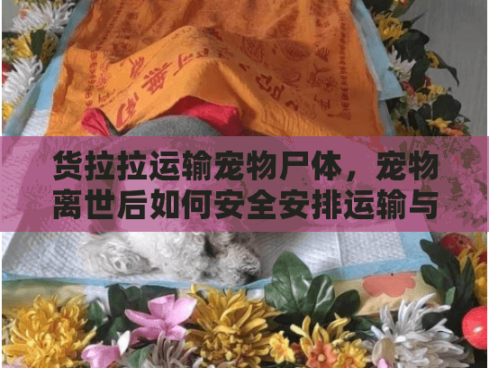 货拉拉运输宠物尸体，宠物离世后如何安全安排运输与宠物殡葬服务？