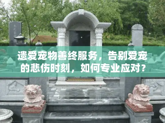 遗爱宠物善终服务，告别爱宠的悲伤时刻，如何专业应对？