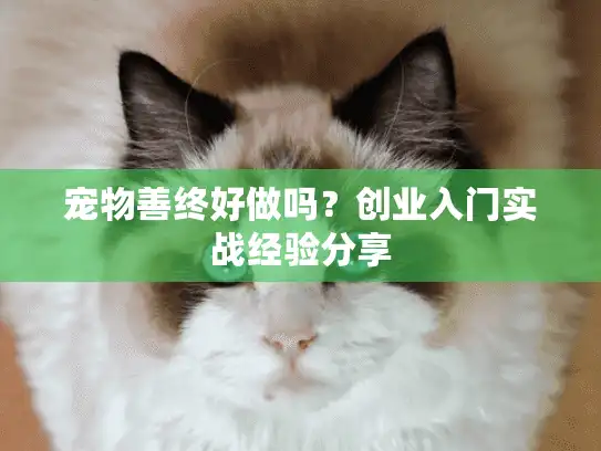 宠物善终好做吗？创业入门实战经验分享