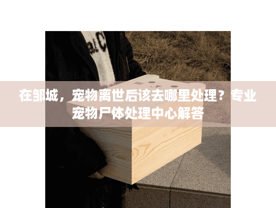 在邹城，宠物离世后该去哪里处理？专业宠物尸体处理中心解答