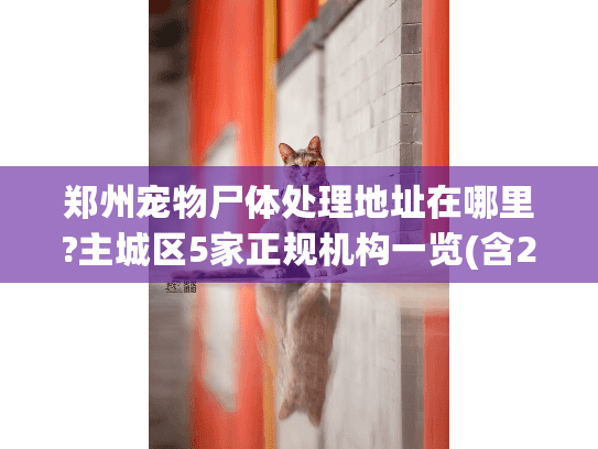 郑州宠物尸体处理地址在哪里?主城区5家正规机构一览(含24小时)