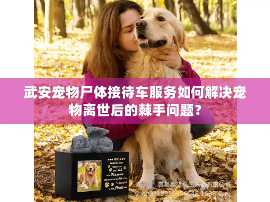 武安宠物尸体接待车服务如何解决宠物离世后的棘手问题? 武安宠物尸体接待车服务如何解决宠物离世后的棘手问题?
