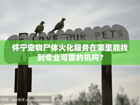 怀宁宠物尸体火化服务在哪里能找到专业可靠的机构？