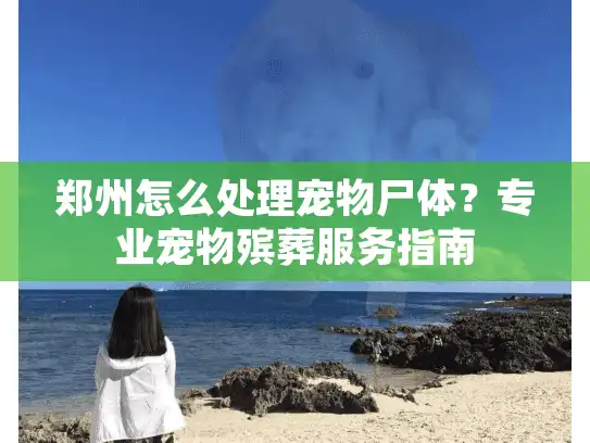 郑州怎么处理宠物尸体？专业宠物殡葬服务指南
