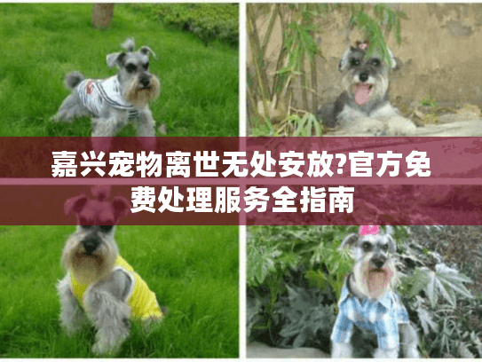 嘉兴宠物离世无处安放?官方免费处理服务全指南