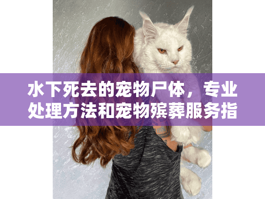水下死去的宠物尸体，专业处理方法和宠物殡葬服务指南