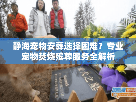静海宠物安葬选择困难？专业宠物焚烧殡葬服务全解析