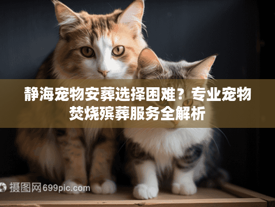 静海宠物安葬选择困难？专业宠物焚烧殡葬服务全解析