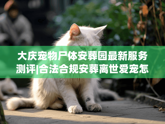 大庆宠物尸体安葬园最新服务测评|合法合规安葬离世爱宠怎么做？