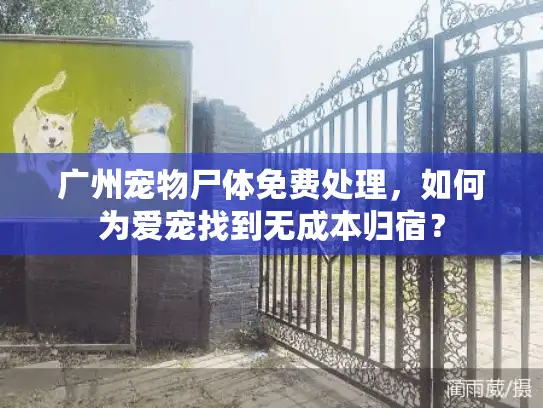 广州宠物尸体免费处理,如何为爱宠找到无成本归宿? 广州宠物尸体免费处理,如何为爱宠找到无成本归宿?