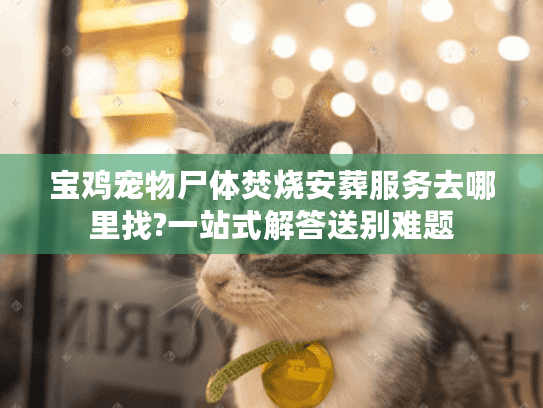 宝鸡宠物尸体焚烧安葬服务去哪里找?一站式解答送别难题