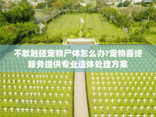 不敢触碰宠物尸体怎么办?宠物善终服务提供专业遗体处理方案