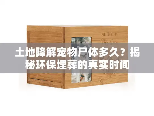土地降解宠物尸体多久？揭秘环保埋葬的真实时间