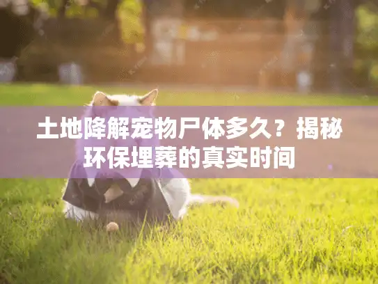 土地降解宠物尸体多久？揭秘环保埋葬的真实时间