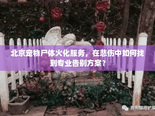 北京宠物尸体火化服务,在悲伤中如何找到专业告别方案? 北京宠物尸体火化服务,在悲伤中如何找到专业告别方案?