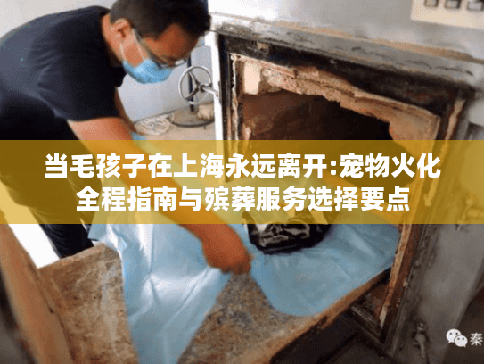 当毛孩子在上海永远离开:宠物火化全程指南与殡葬服务选择要点