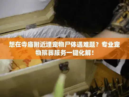 想在寺庙附近埋宠物尸体遇难题？专业宠物殡葬服务一键化解！