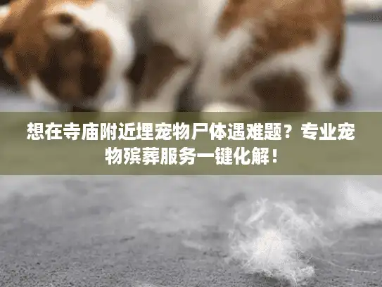 想在寺庙附近埋宠物尸体遇难题？专业宠物殡葬服务一键化解！