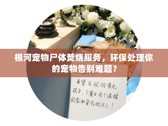 根河宠物尸体焚烧服务,环保处理你的宠物告别难题? 根河宠物尸体焚烧服务,环保处理你的宠物告别难题?