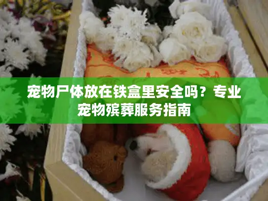 宠物尸体放在铁盒里安全吗？专业宠物殡葬服务指南