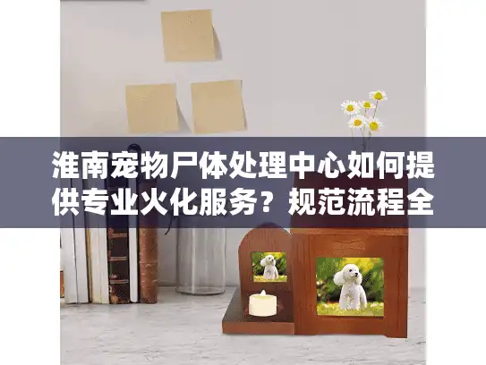 淮南宠物尸体处理中心如何提供专业火化服务?规范流程全解析 淮南宠物尸体处理中心如何提供专业火化服务?规范流程全解析