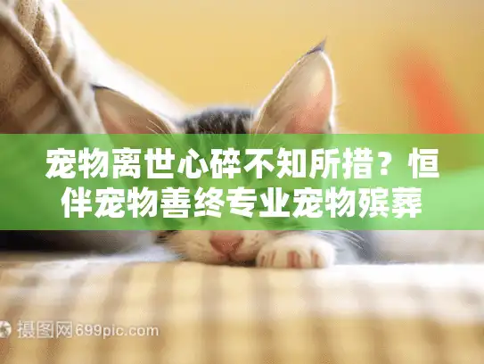 宠物离世心碎不知所措?恒伴宠物善终专业宠物殡葬服务安心方案 宠物离世心碎不知所措?恒伴宠物善终专业宠物殡葬服务安心方案