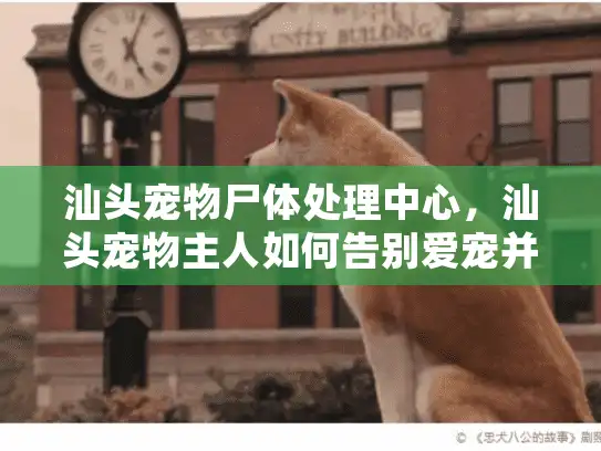 汕头宠物尸体处理中心，汕头宠物主人如何告别爱宠并妥善处理遗体？