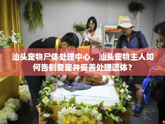 汕头宠物尸体处理中心，汕头宠物主人如何告别爱宠并妥善处理遗体？