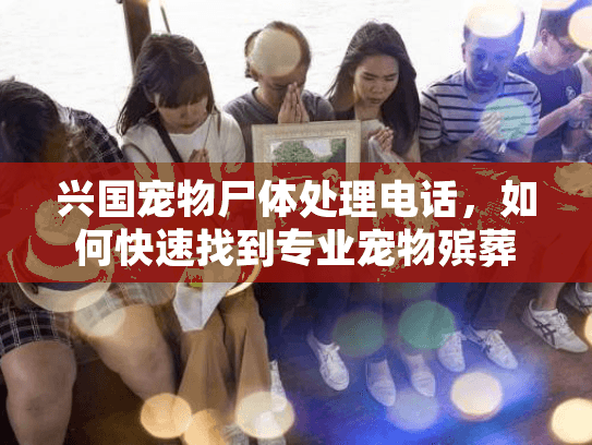 兴国宠物尸体处理电话,如何快速找到专业宠物殡葬服务? 兴国宠物尸体处理电话,如何快速找到专业宠物殡葬服务?