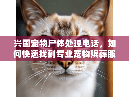 兴国宠物尸体处理电话,如何快速找到专业宠物殡葬服务? 兴国宠物尸体处理电话,如何快速找到专业宠物殡葬服务?