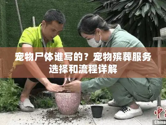 宠物尸体谁写的?宠物殡葬服务选择和流程详解 宠物尸体谁写的?宠物殡葬服务选择和流程详解