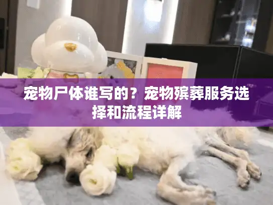 宠物尸体谁写的?宠物殡葬服务选择和流程详解 宠物尸体谁写的?宠物殡葬服务选择和流程详解