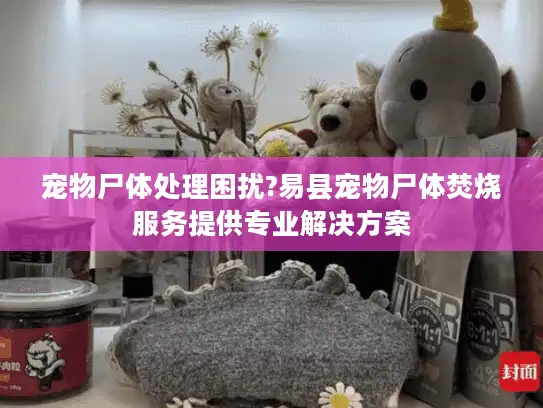 宠物尸体处理困扰?易县宠物尸体焚烧服务提供专业解决方案