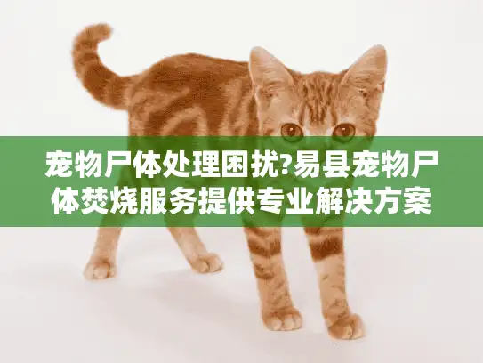 宠物尸体处理困扰?易县宠物尸体焚烧服务提供专业解决方案