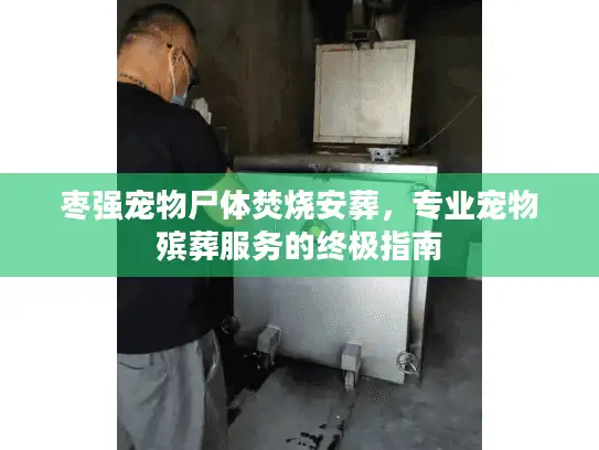 枣强宠物尸体焚烧安葬，专业宠物殡葬服务的终极指南